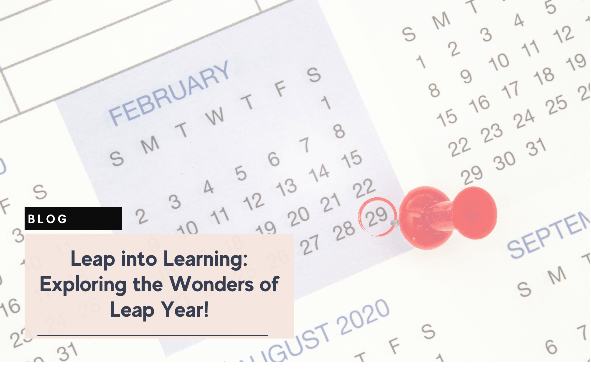 Calendar showing February 29 marked with a red pushpin.